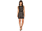 Queen of the Night Stretch Lace Mini Dress